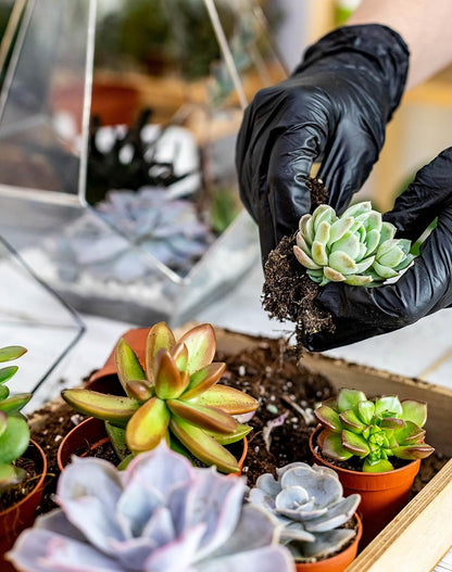 25-Piece Complete Indoor Plant Care & Repotting Kit