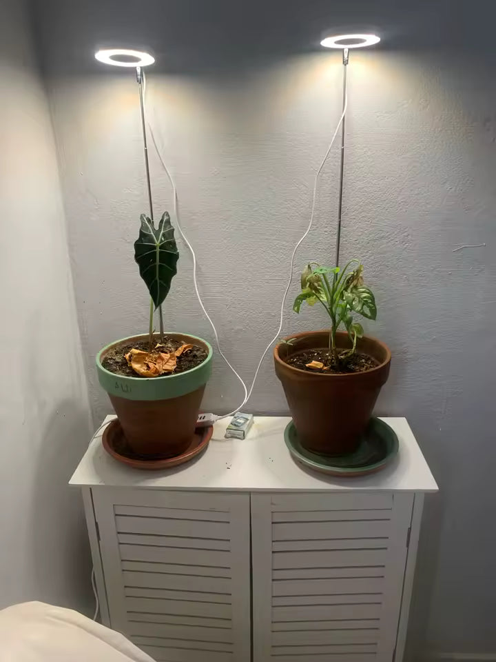 
  
    Sam B.
  
